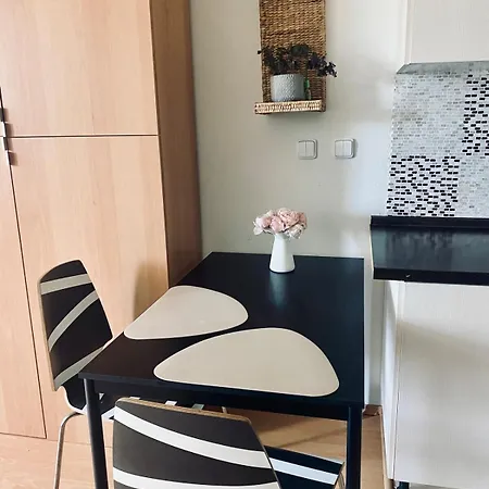 Spacious Sunny 布拉迪斯拉发